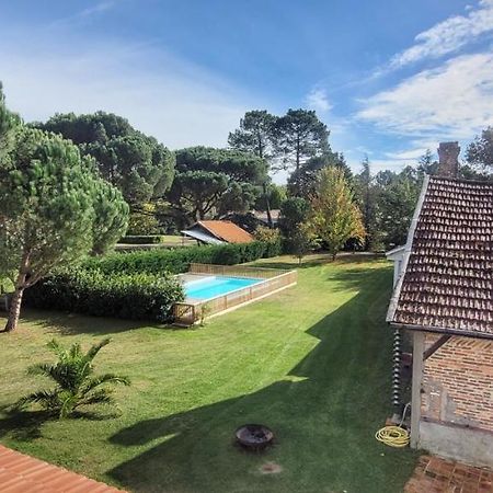 Charmante Maison Dans Les Landes X 10 Avec Piscine Et Salle D Escalade Lue Buitenkant foto