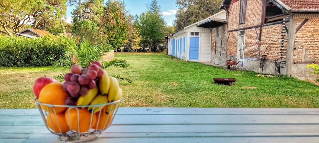 Charmante Maison Dans Les Landes X 10 Avec Piscine Et Salle D Escalade Lue Buitenkant foto